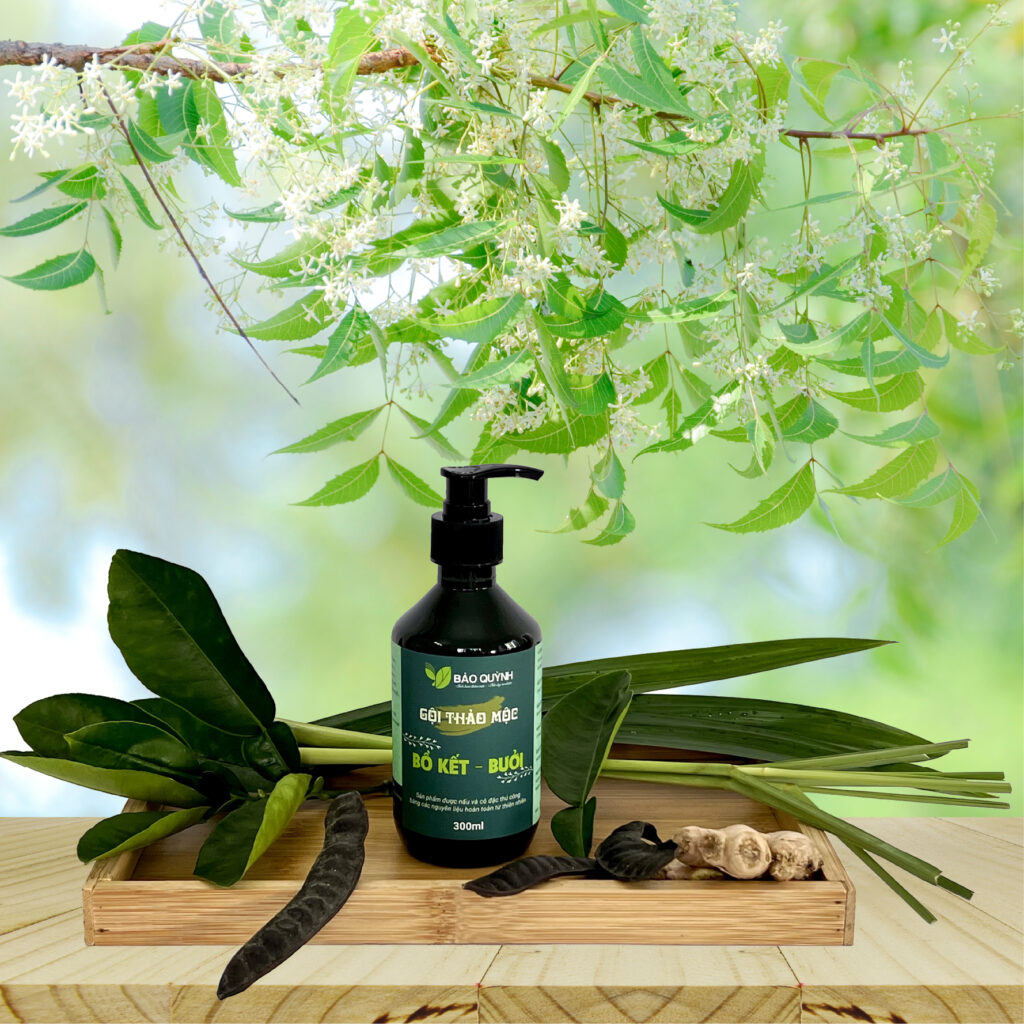 Dầu gội thảo mộc 300ml